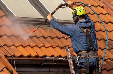 Démoussage et hydrofuge de toiture à Pécorade